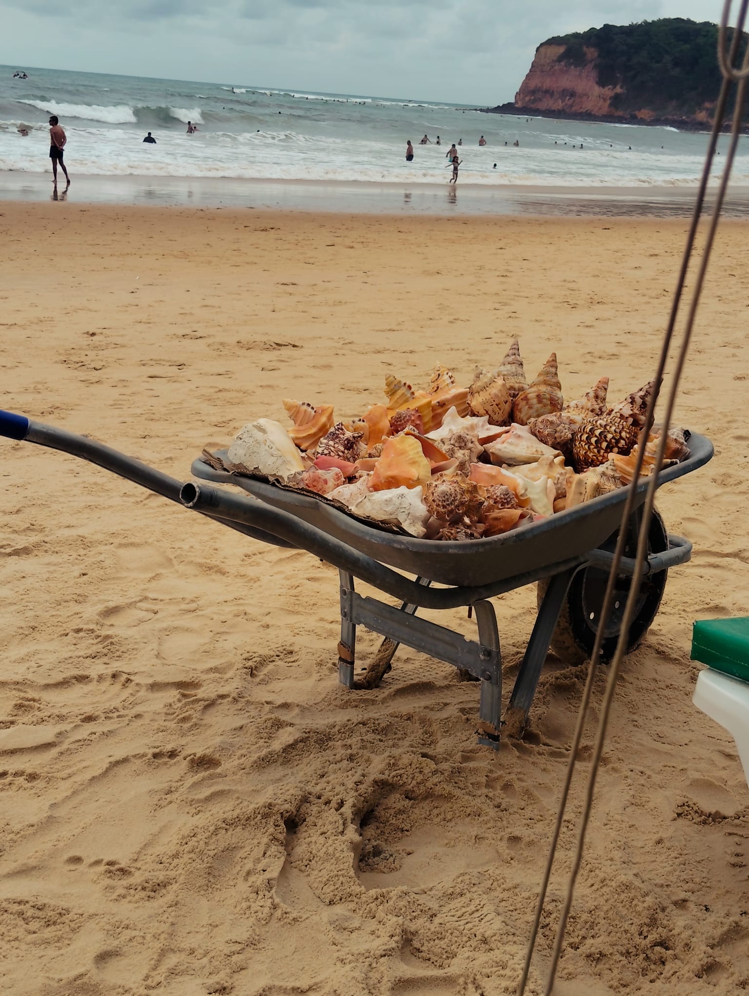 Natal a Pipa: la ruta del Nordeste brasileño para desconectar al nivel del mar