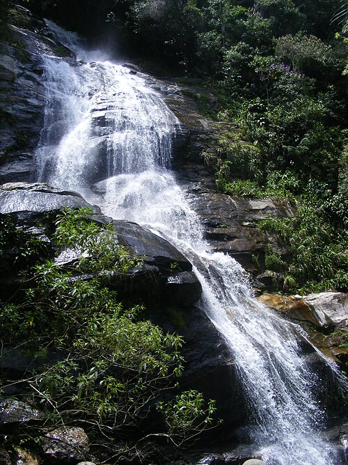 Cascada rodeada de vegetación en la Floresta da Tijuca de Río de Janeiro