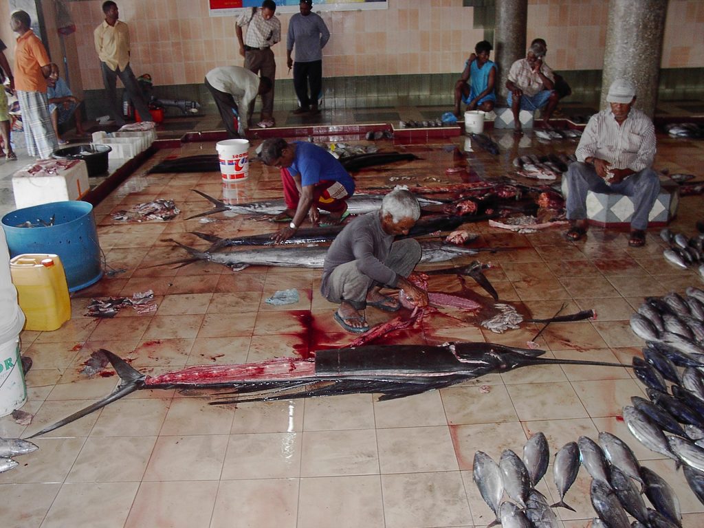 Puestos del mercado de pescado de Malé con capturas del día