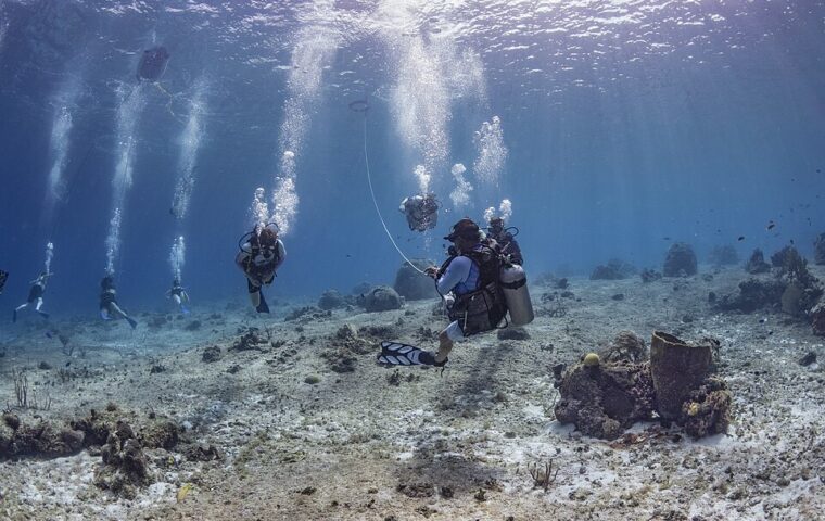 Qué llevar para bucear en Cozumel: guía de equipo 2026 – 2027