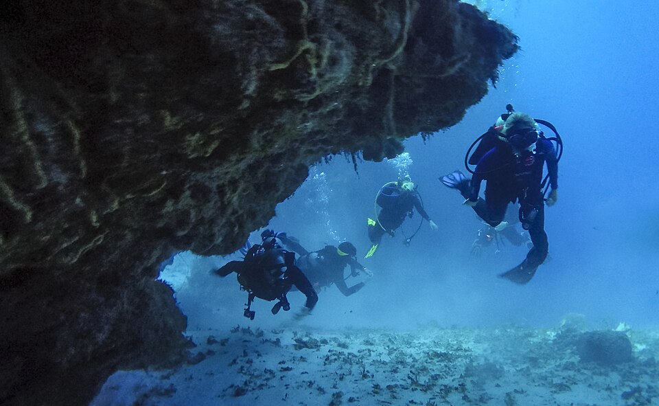 Buceadores atravesando una formación coralina bajo el agua