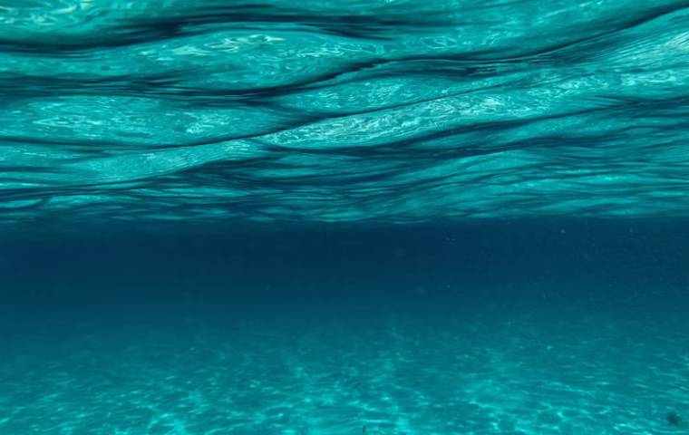 Apnea para principiantes: cómo empezar con seguridad en un viaje